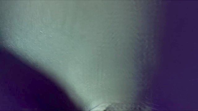 Family Rules Christmas Special By Blacksheepovca