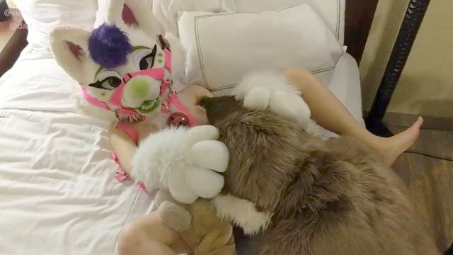 Stuffed Animal Furry Porn - Straight Furry Hetani Free Porn Movies - Watch Exclusive and Hottest  Straight Furry Hetani Porn at wonporn.com