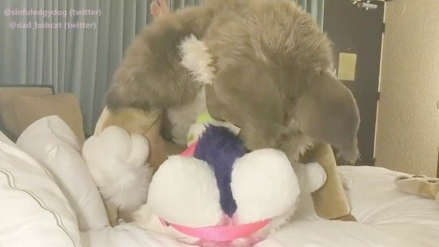 прямые фурри Murrsuit ебать