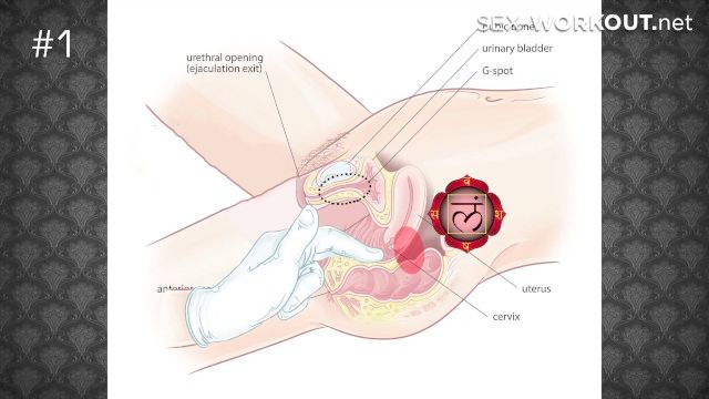 كيفية إعطاء النشوة المجنونة؟