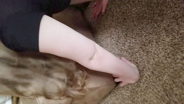 مستبعد الحمار الدهون على هزلي الديك