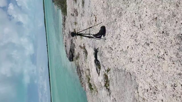 在巴哈马度假爱好者他妈的。 身边没有人听到她的呻吟声