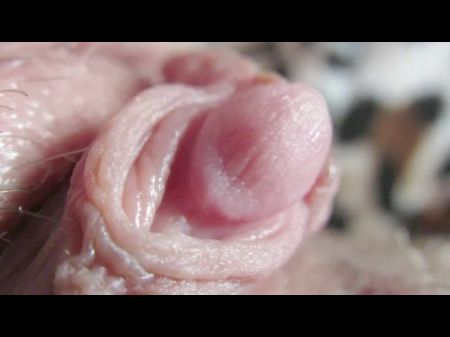 Pulsing Hard Clitoris In Extreme Close Up