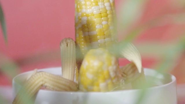 Passionate Steamy Hardcore Corn