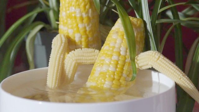 Passionate Steamy Hardcore Corn