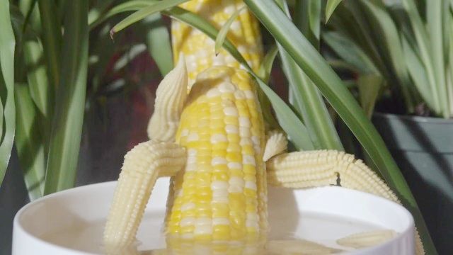 Vapor Caliente De Maíz Duro